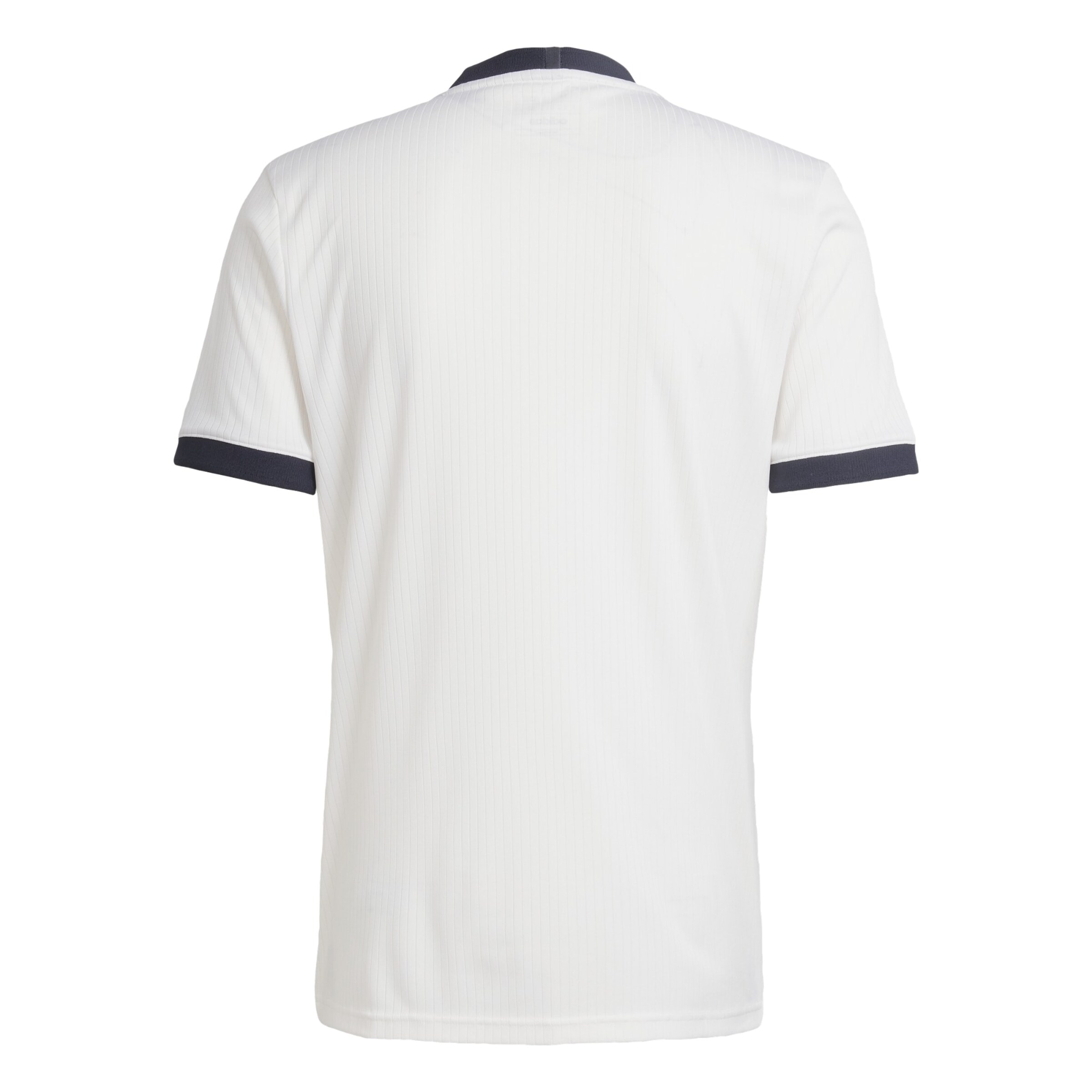 ADIDAS PERFORMANCE Tricot 'DFB Home 125 Jahre' in Wit