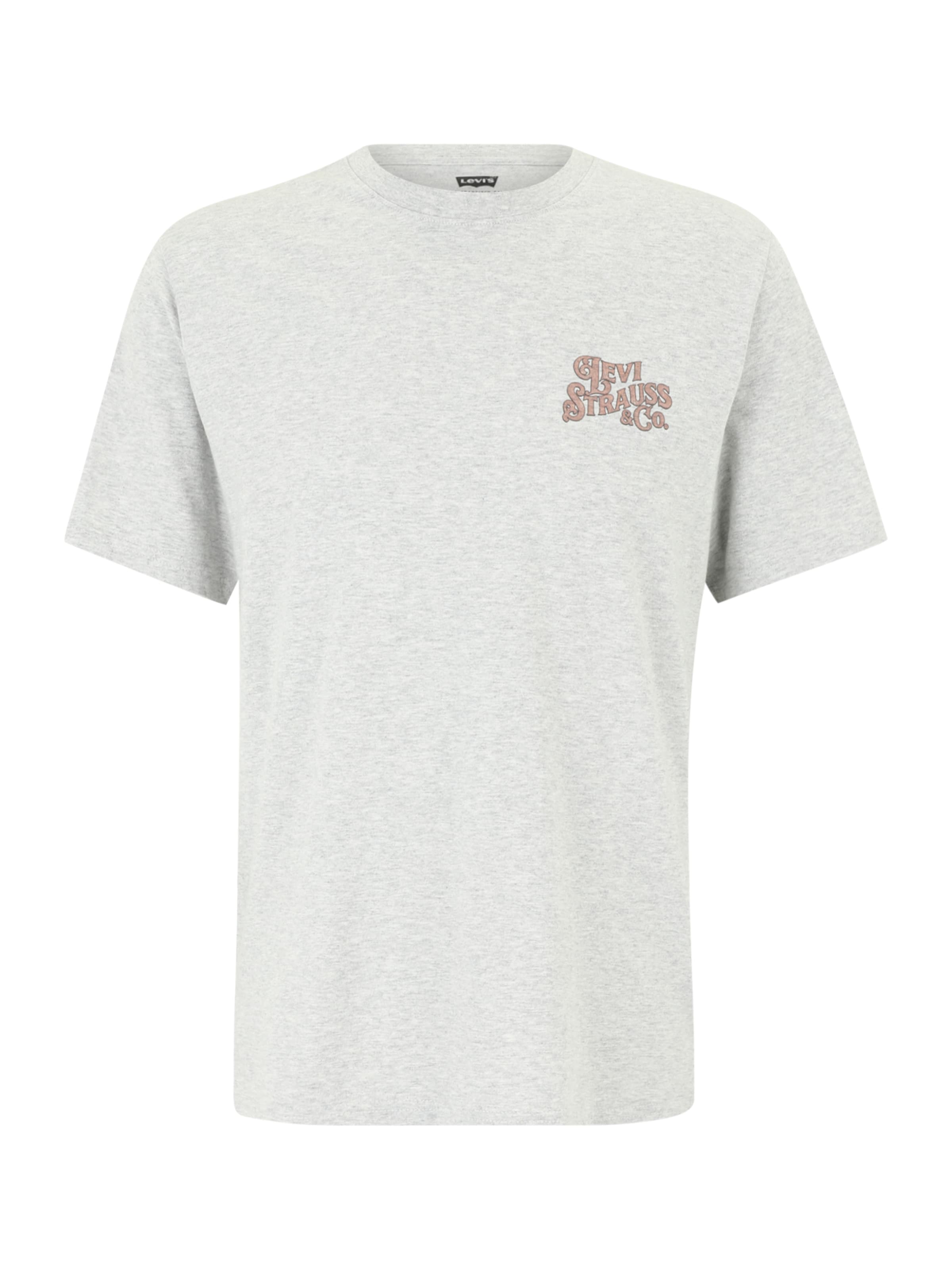 LEVI'S ® Tričko 'Relaxed Graphic Tee' - Sivá: predná strana