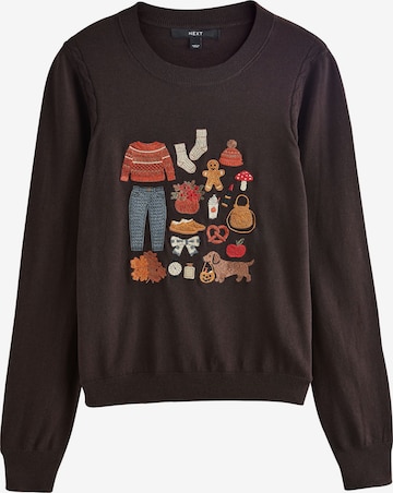 Next Sweater in Brown: front
