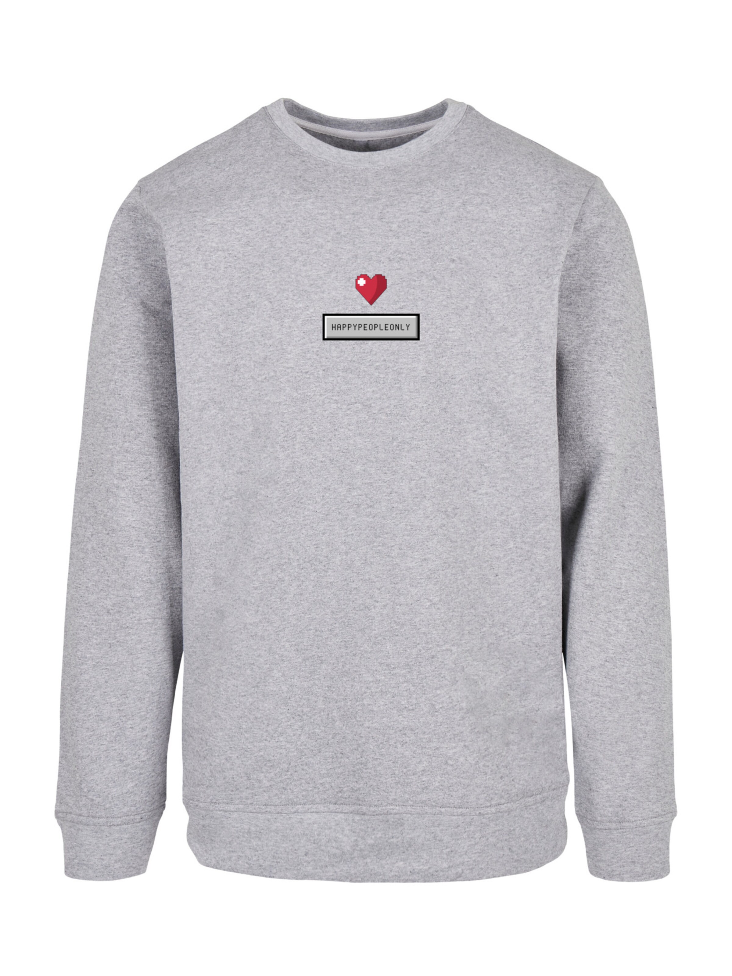 F4NT4STIC Sweatshirt in Grijs: voorkant