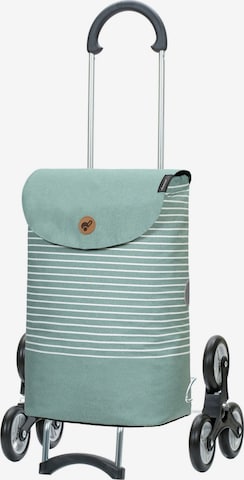 Valisette 'Tilde ' Andersen Shopper en vert : devant
