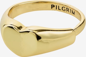 auksinė Pilgrim Žiedas 'Arin': priekis