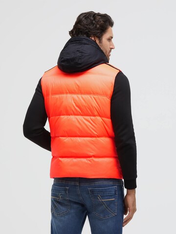CAMP DAVID Vest in Orange