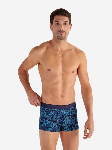 HOM Retro Pants ' Brian ' in Blau: Vorderseite