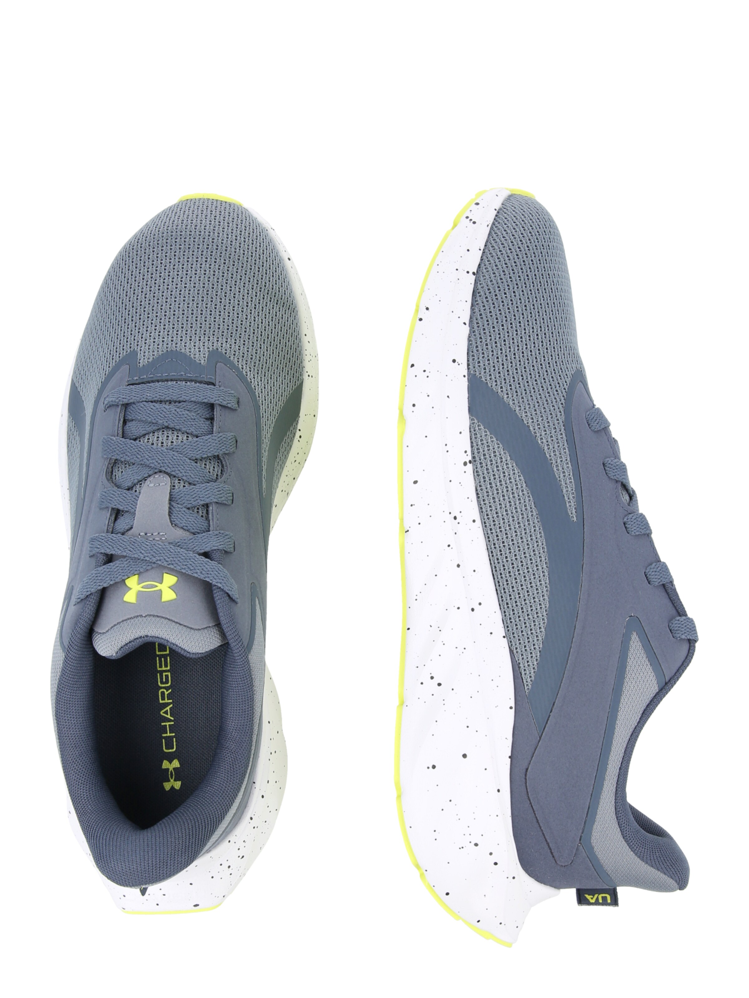 UNDER ARMOUR Sportsko 'Ascend' i grå