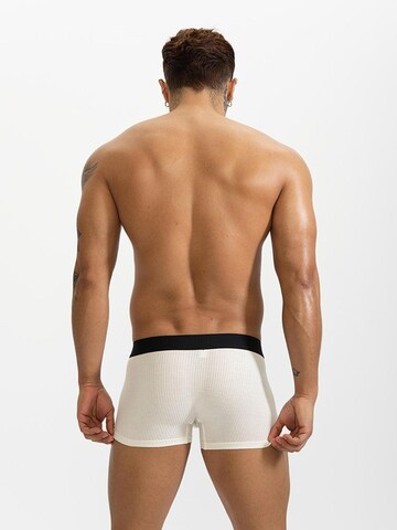 BIMONI Boxer shorts in White