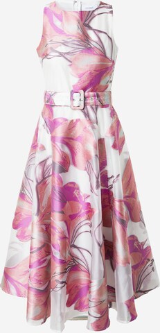 Coast Summer dress in Pink: front