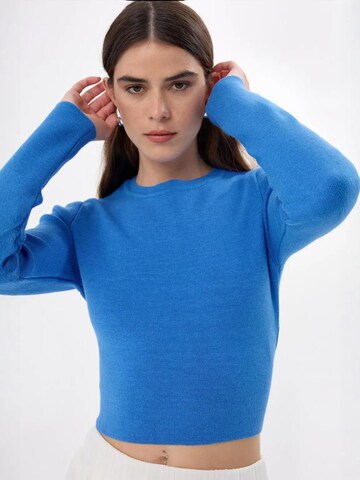 Hiccup Trui in Blauw