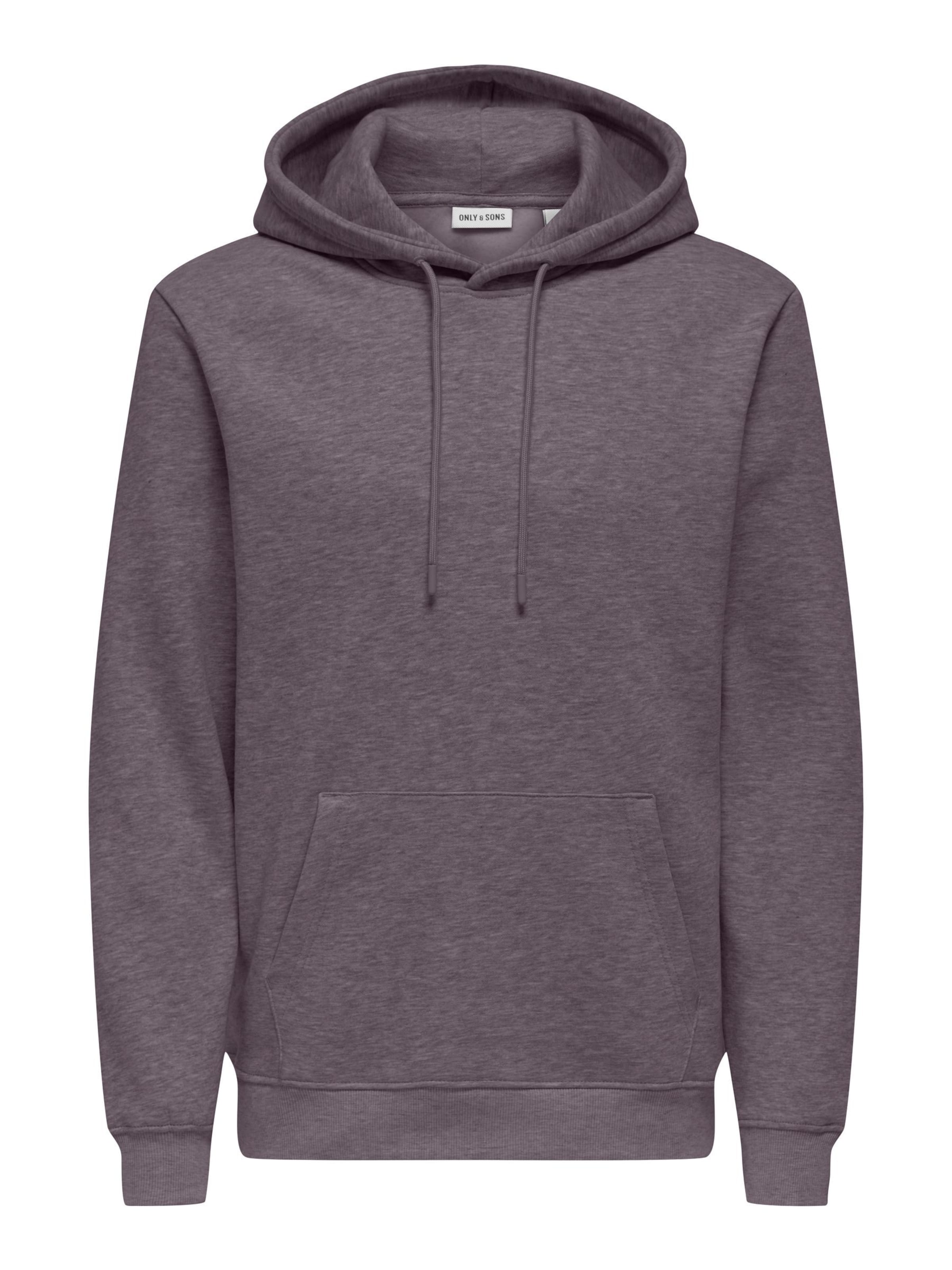 Only & Sons Sweatshirt 'ONSConnor' in lila, Produktansicht