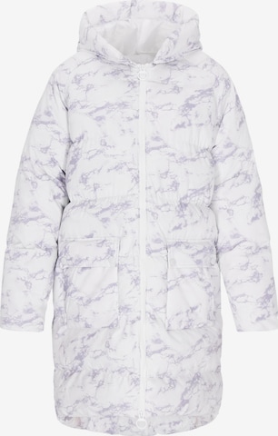 Manteau d’hiver 'Athleisure' ECY en gris : devant