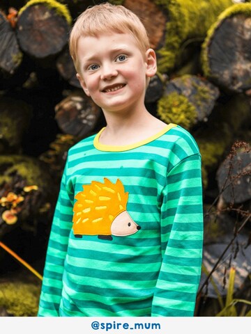 Toby Tiger Shirt 'Igel' in Green