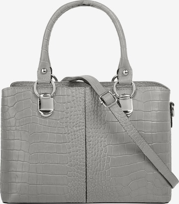 Cluty Crossbody Bag in Grey: front