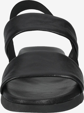 SANSIBAR Sandals in Black