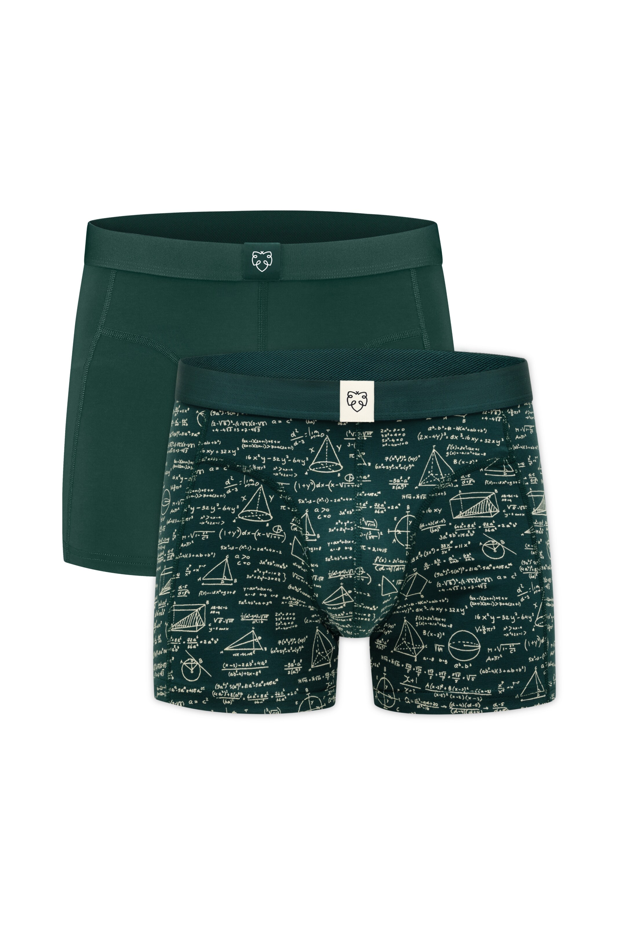 A-dam Boxershorts 'Green Maths' in Grün: Vorderseite