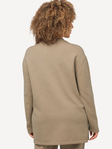 Ulla Popken Pullover in Braun