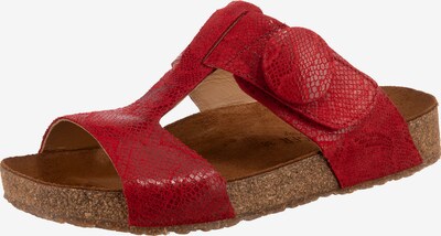 HAFLINGER Pantolette 'Mika' in rot, Produktansicht