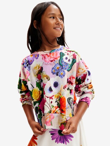 Sweat-shirt Desigual en mélange de couleurs : devant