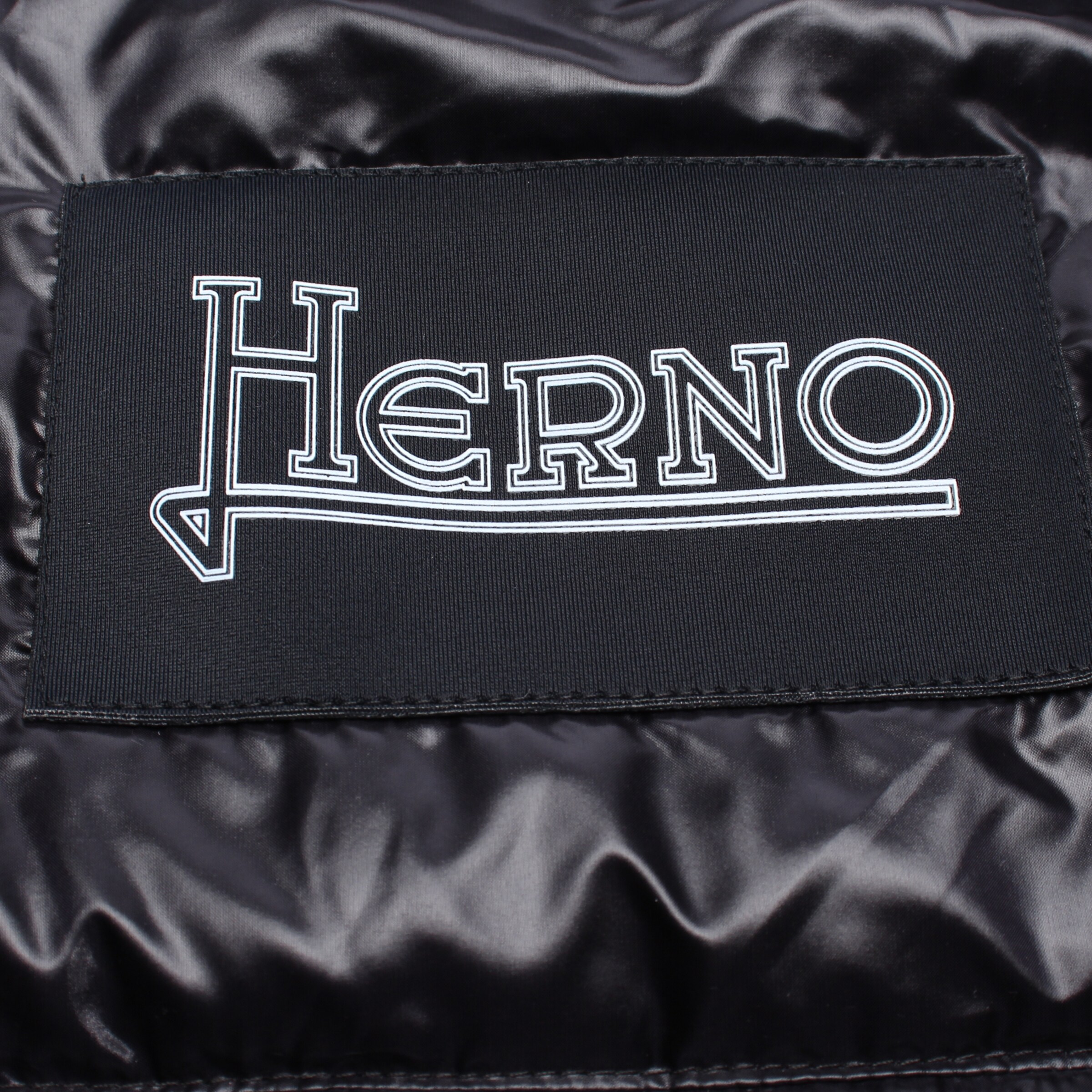 Herno Jacket & Coat in M in Black