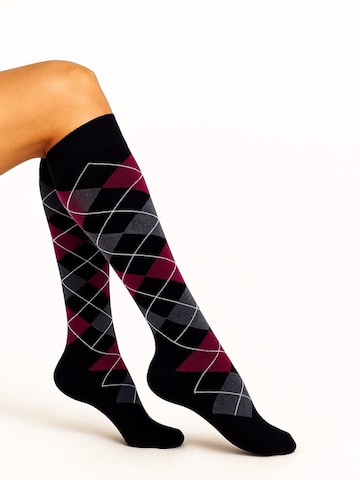 Lycille Kniestrümpfe in Schwarz: Vorderseite