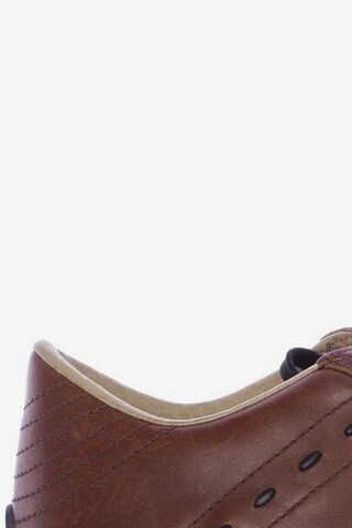 LEVI'S ® Sneakers & Trainers in 40 in Brown