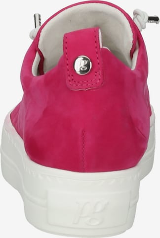 Paul Green Låg sneaker i rosa