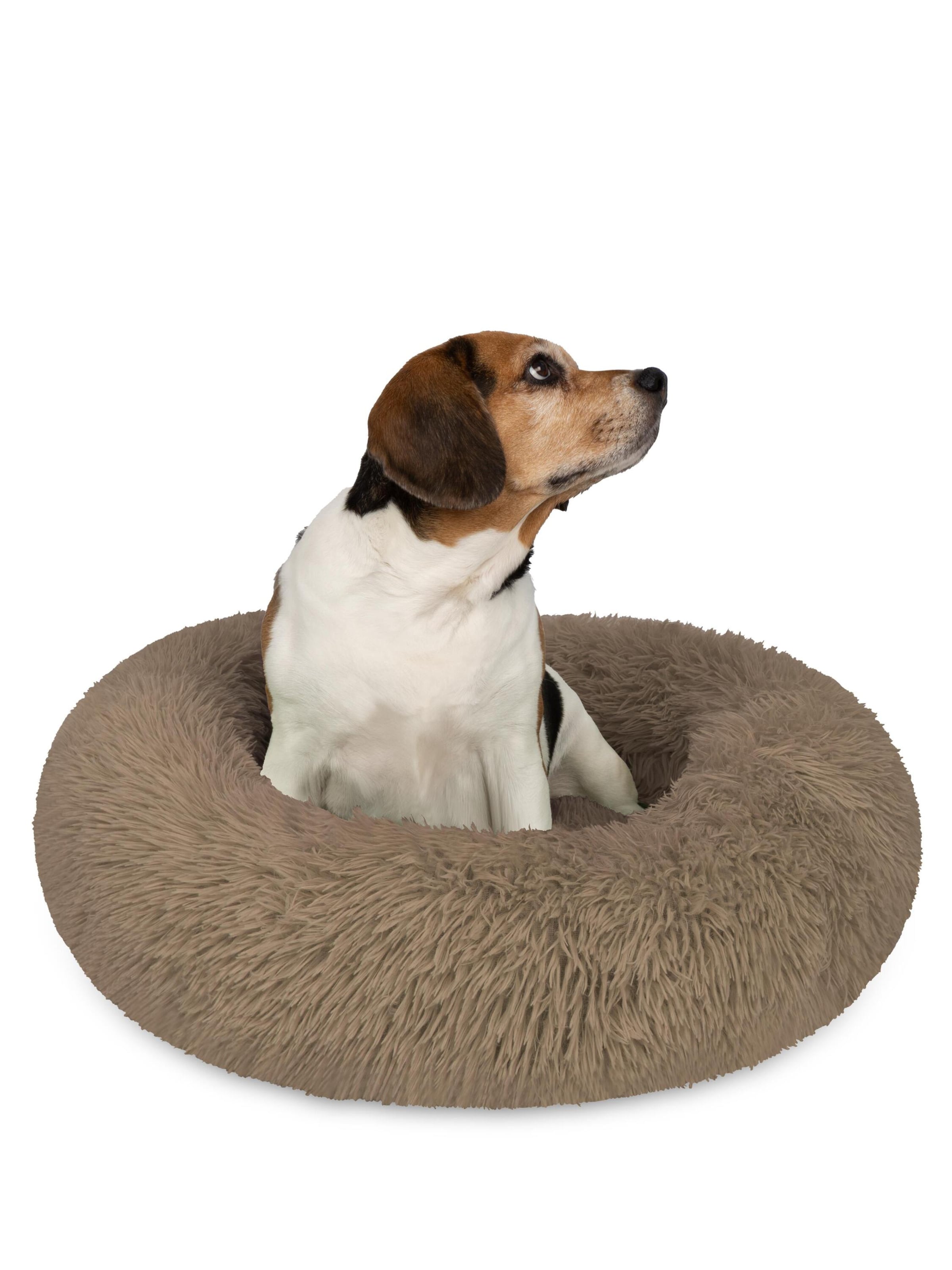 Accessoires pour animaux 'Tornio' Aspero en marron