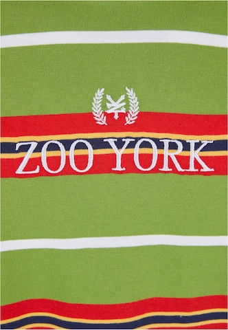 ZOO YORK Majica | zelena barva
