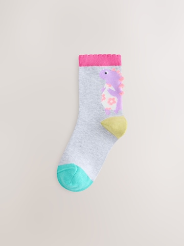 Next - Calcetines 'Dinosaur' en Mezcla de colores