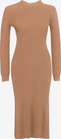 FRESHLIONS Knitted dress ' Evelina ' in Beige: front