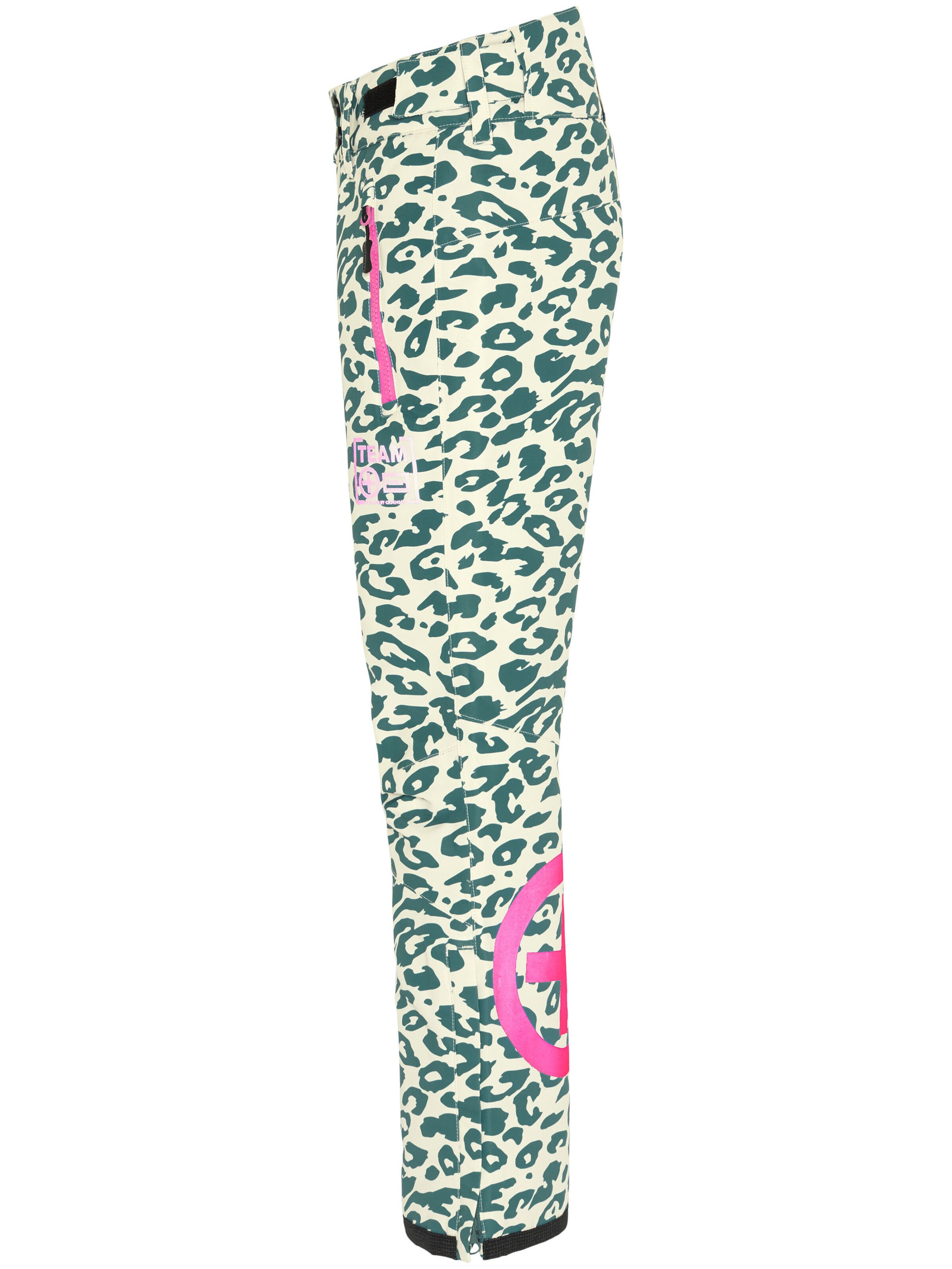 CHIEMSEE Regular Workout Pants ' mit AOP ' in Beige