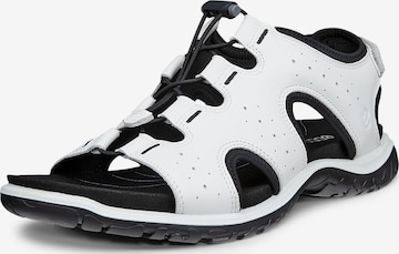 balta ECCO Sandalai 'Offroad Roam': priekis