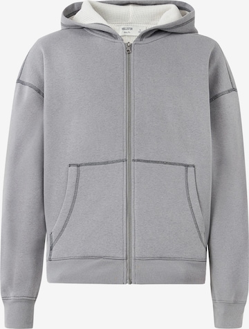 HOLLISTER Sweatjacke in Grau: Vorderseite