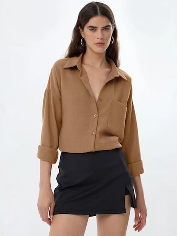 Hiccup Blouse in Brown: front