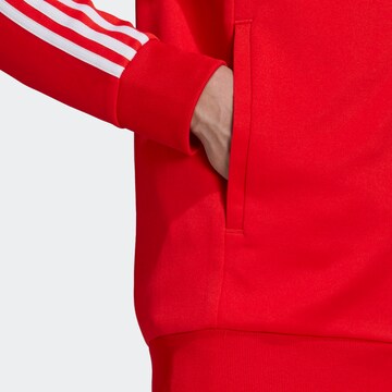 ADIDAS ORIGINALS Regular fit Zip-Up Hoodie 'Adicolor Classics Primeblue' in Red