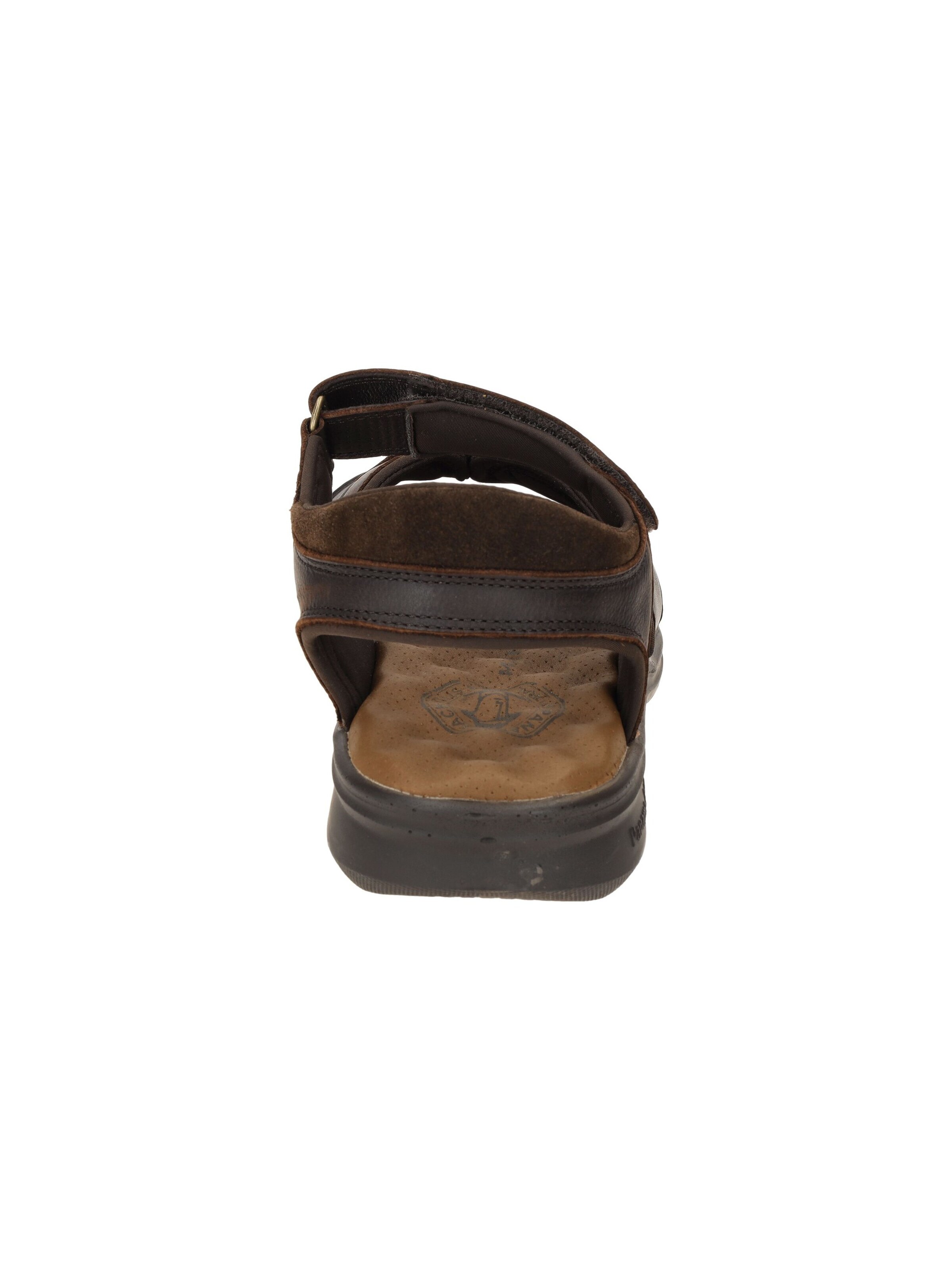 PANAMA JACK Sandals 'Jack' in Brown
