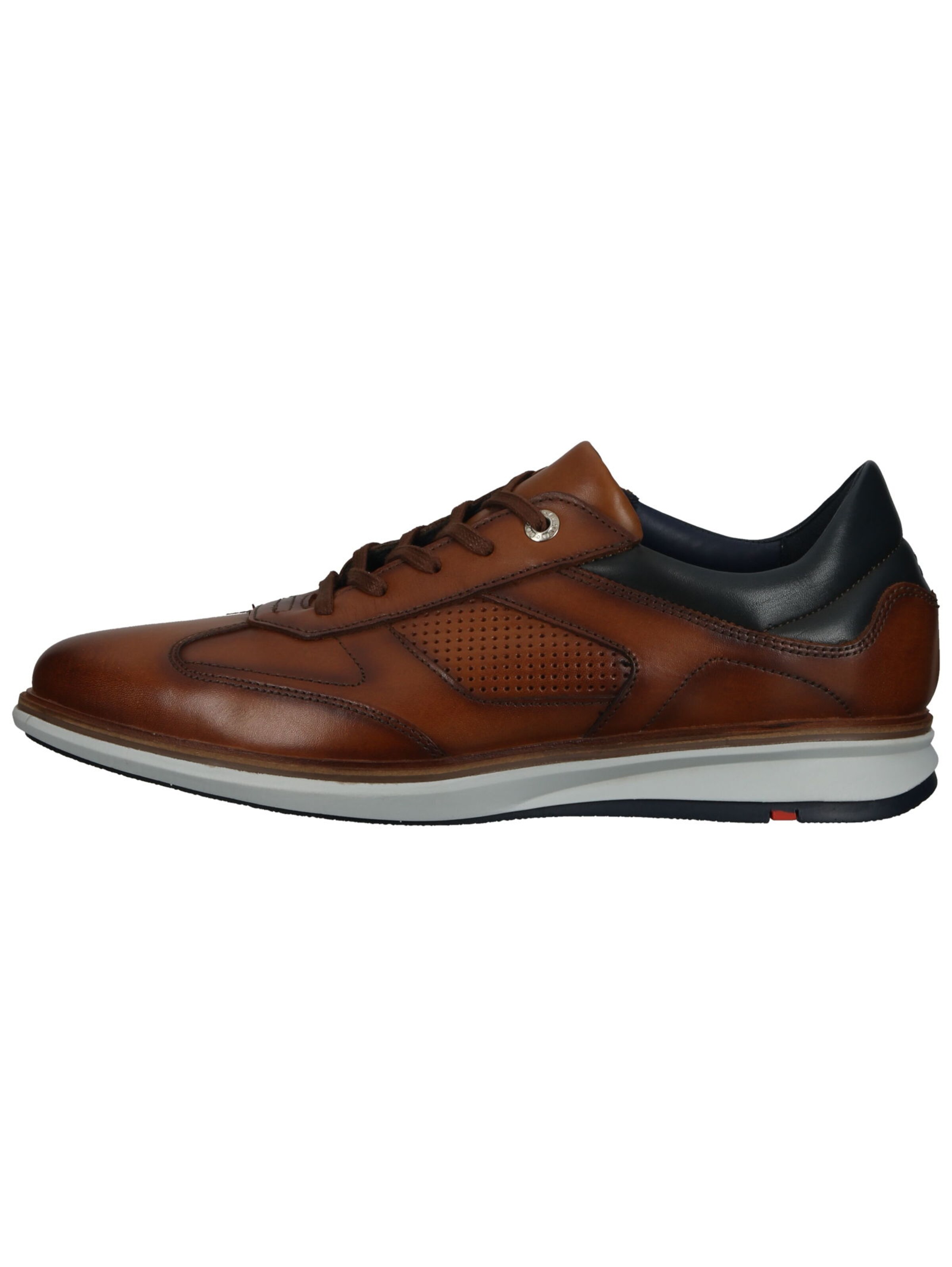 Chaussure de sport à lacets LLOYD en marron