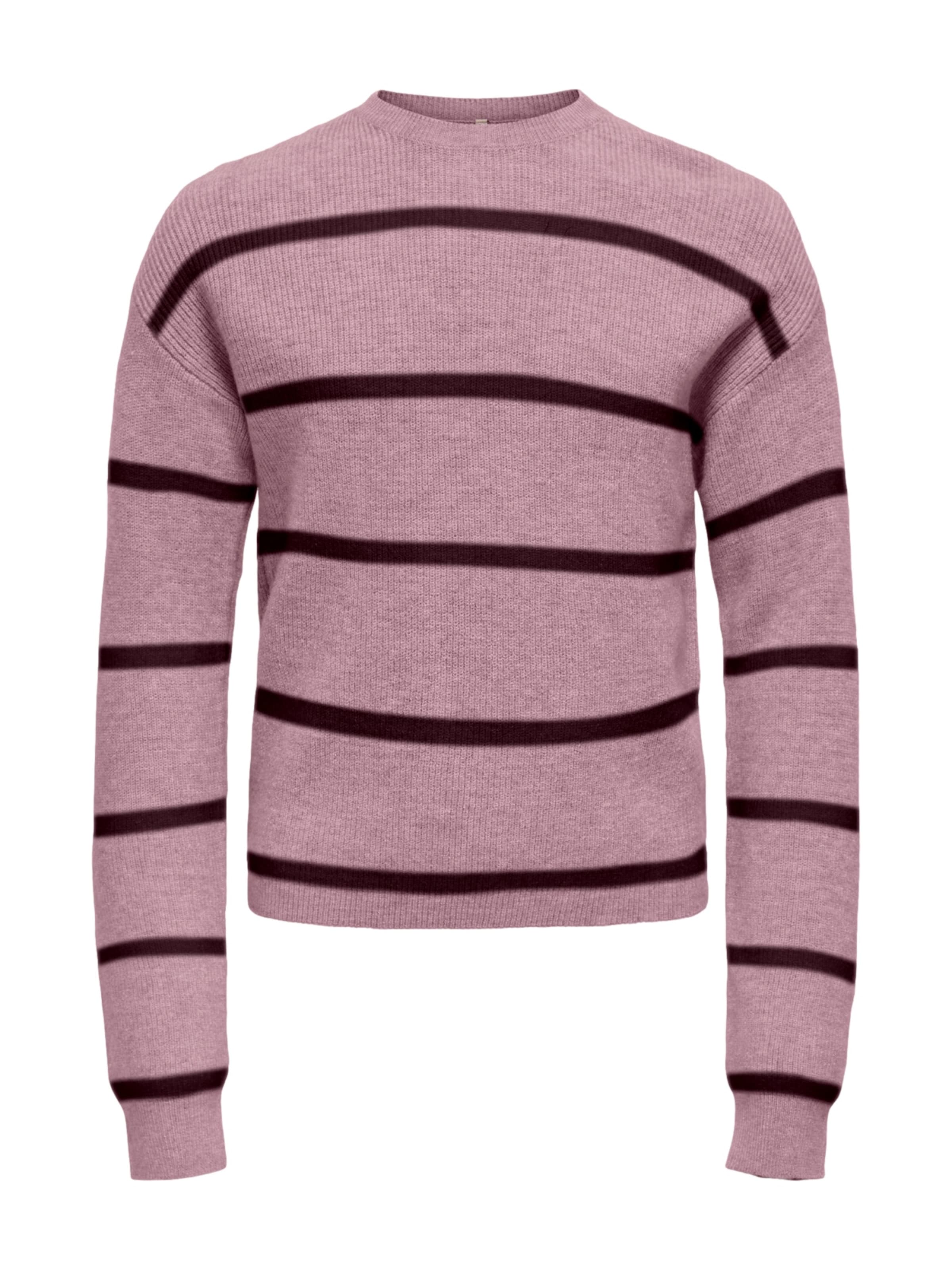 Pull-over 'KOGFRANCA' ONLY GIRLS en violet : devant