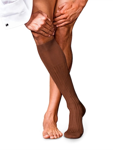 FALKE Kniestrümpfe 'No. 13 Finest Piuma Cotton'‌‌‌‌‌‌‌‌‌ in Braun: Vorderseite