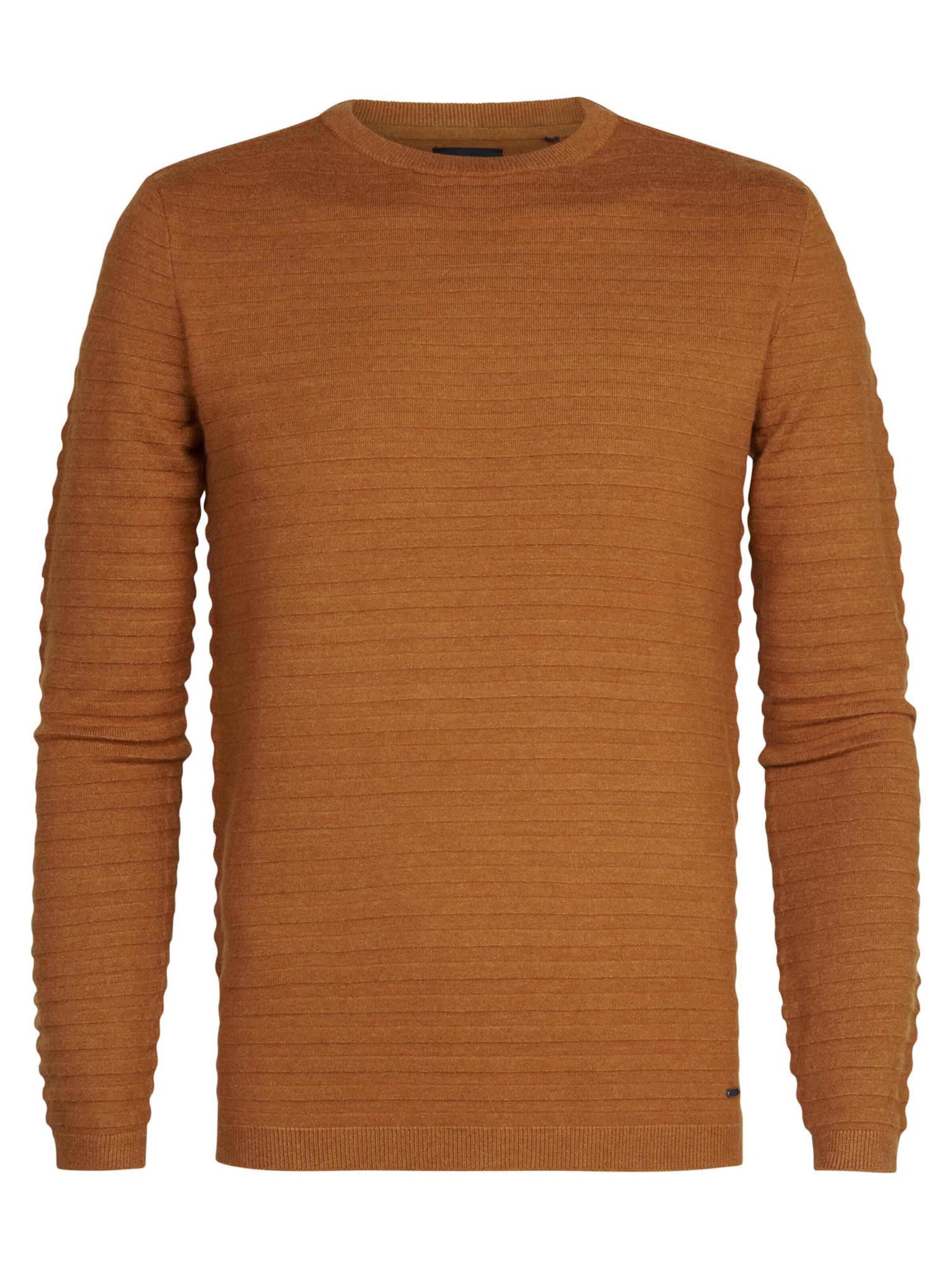 PETROL INDUSTRIES MEN Sweater in Beige
