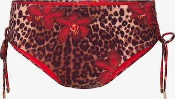 Bas de bikini LingaDore en marron : devant