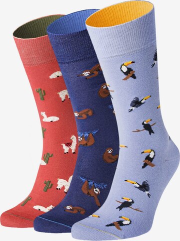 Von Jungfeld Socks in Mixed colors: front