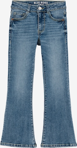 mėlyna WE Fashion Kliošinis Džinsai: priekis