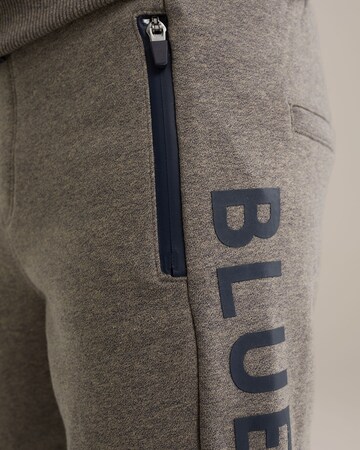 regular Pantaloni di WE Fashion in grigio