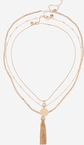 ALDO Necklace 'SUSIEN' in Gold: front