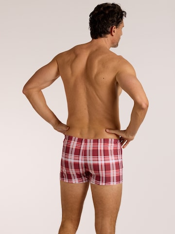 wavebreaker Swim Trunks in Red