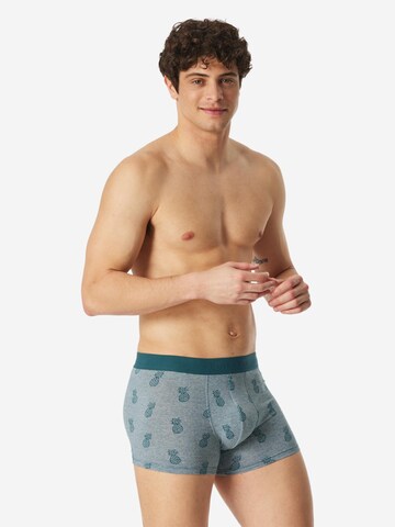 SCHIESSER Boxer shorts '95/5 Cotton' in Blue