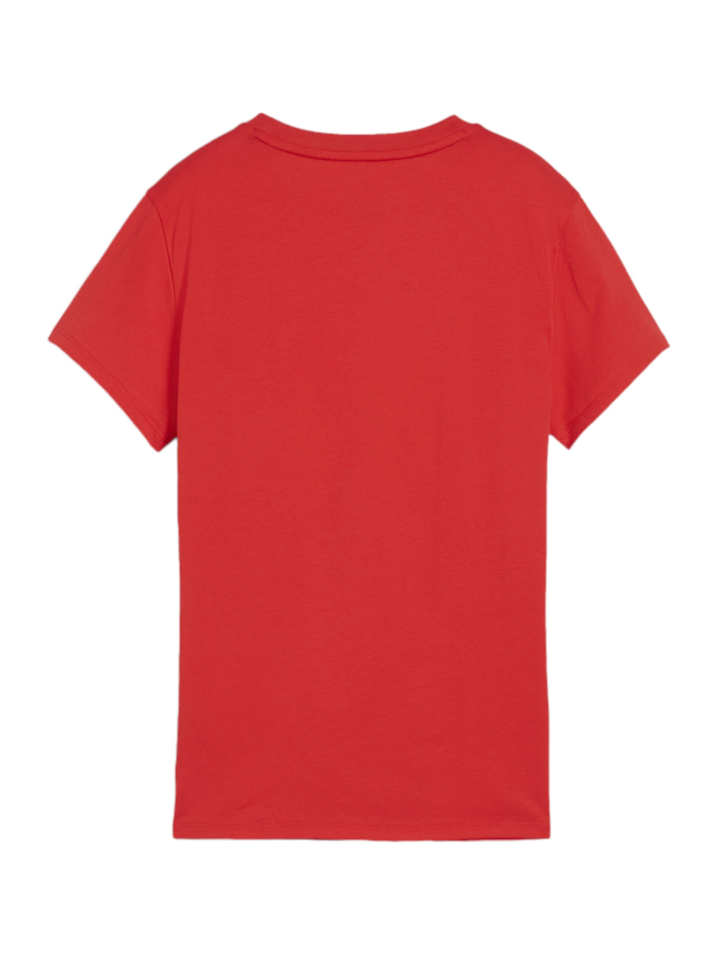 PUMA Performance Shirt 'TeamGoal' in Red