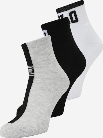 Polo Ralph Lauren Socks in Grey: front