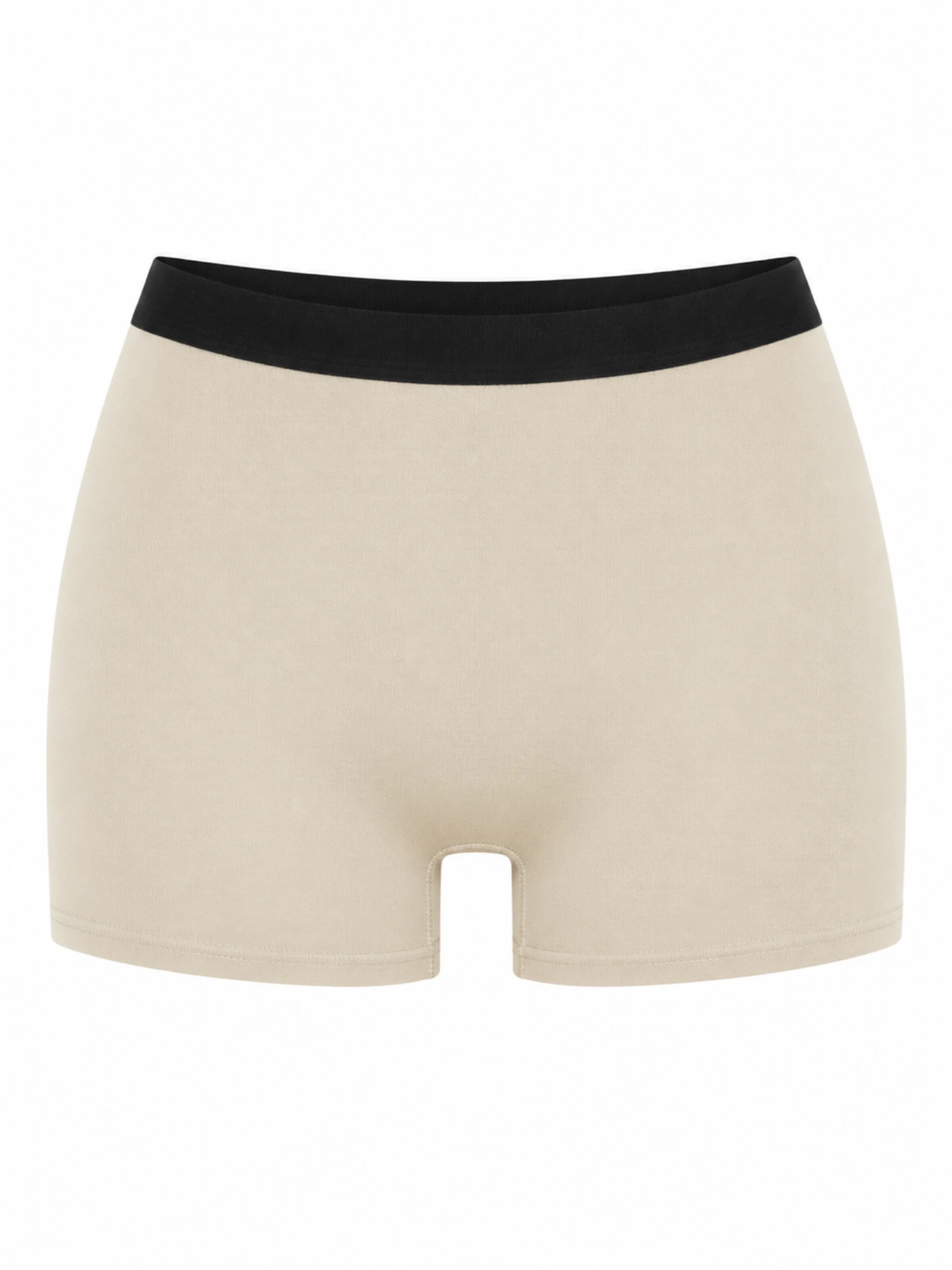 True North Boyshorts 'Boyshort' in Grey: front