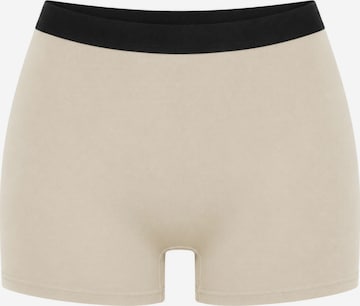 True North Boyshorts 'Boyshort' in Grey: front